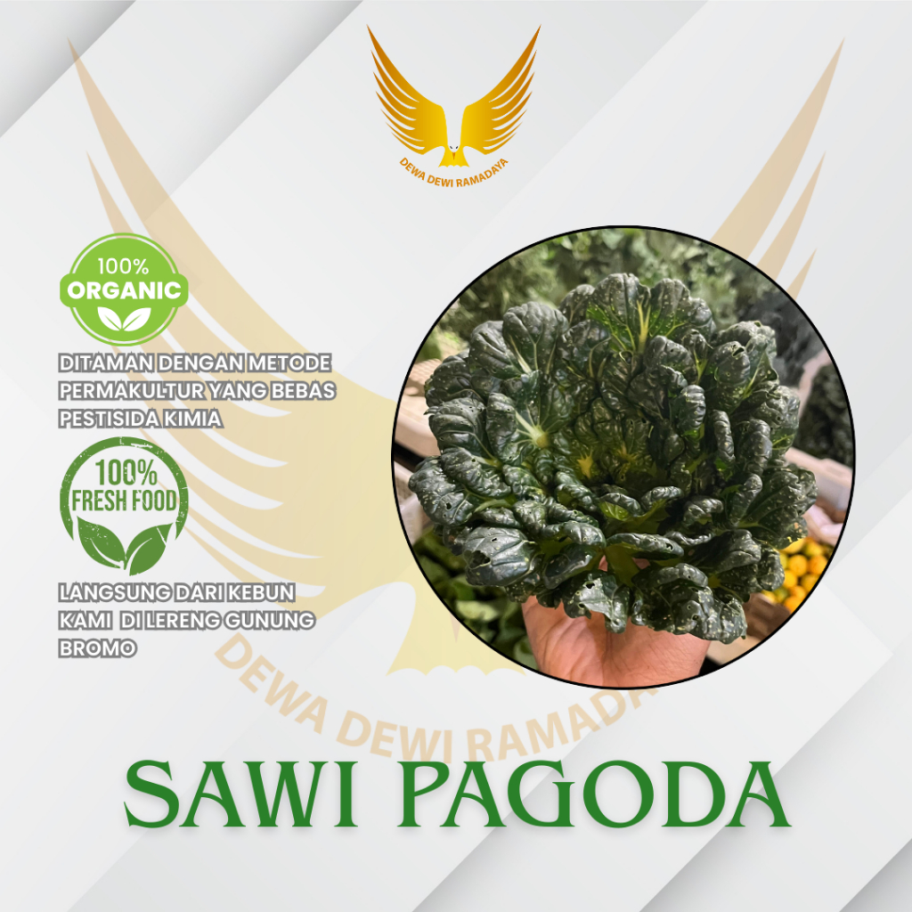 

Sawi Pagoda Organik Dewa Dewi Rama Daya