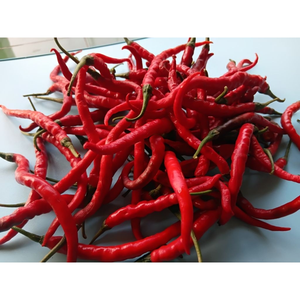 

Cabe Merah keriting 1kg/500gr