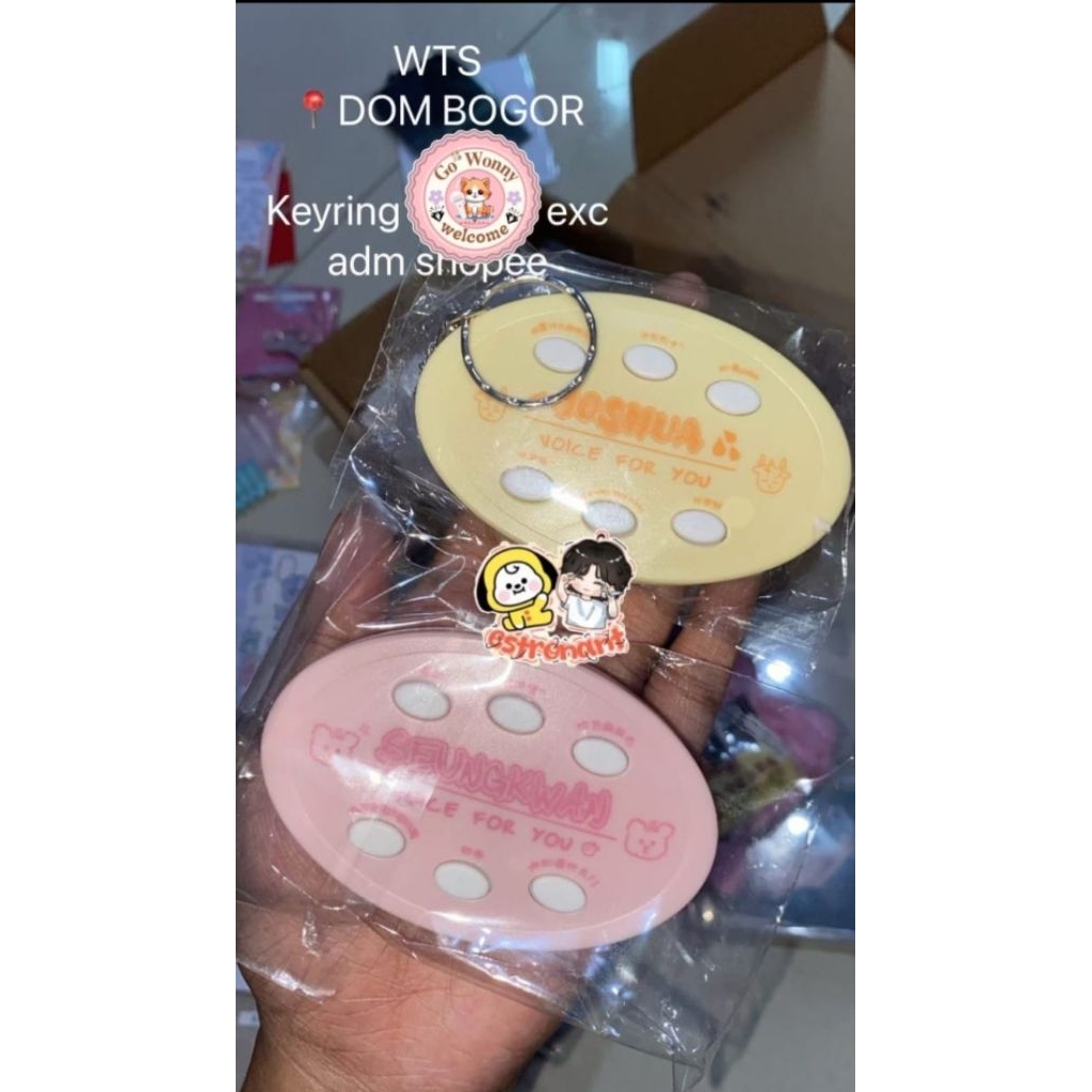Voice keyring Seventeen
