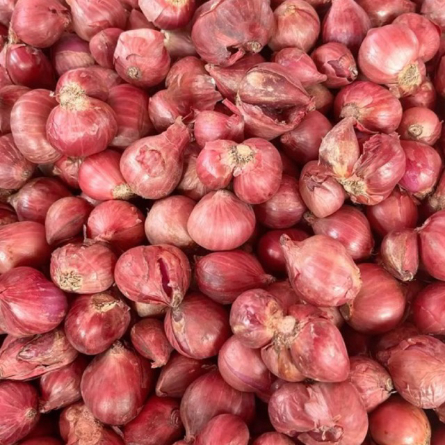 

Sipaling Jahat Bawang Merah 1kg