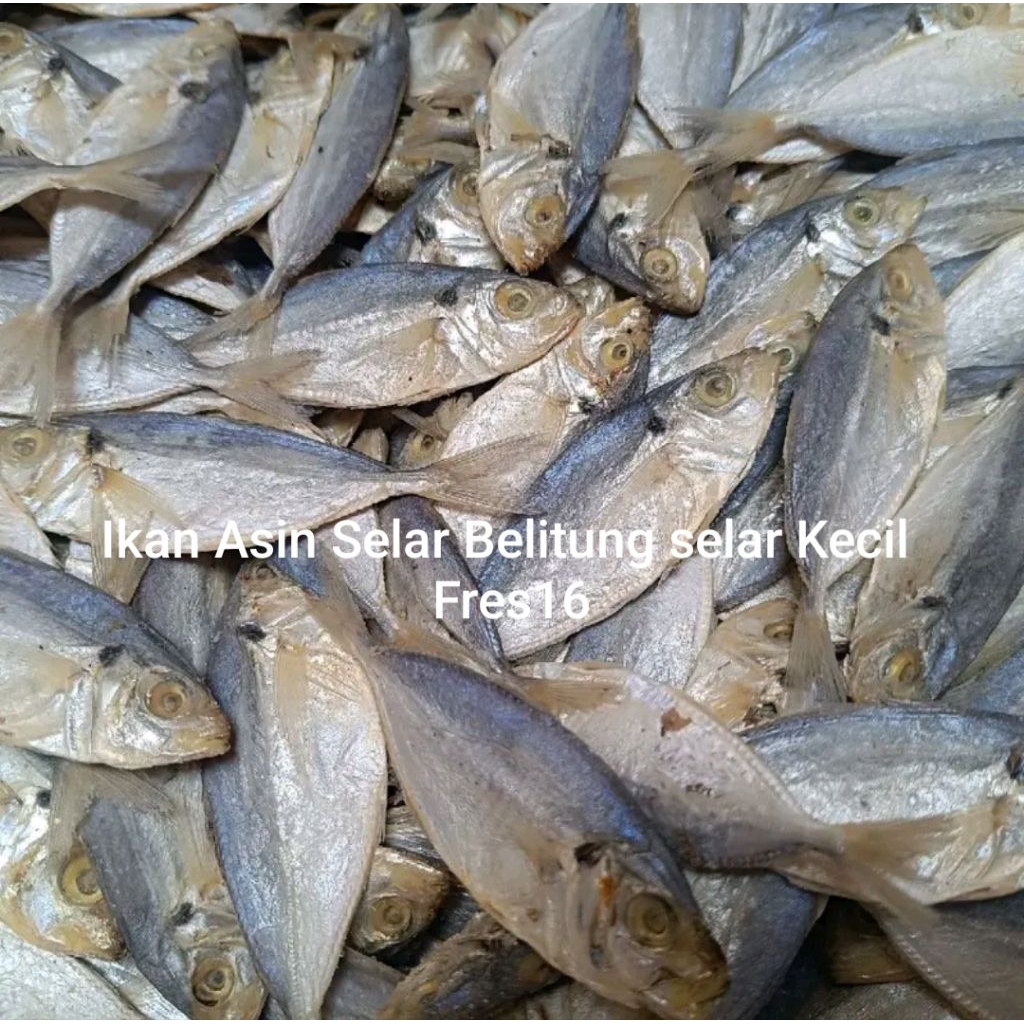 

Ikan Asin Selar Belitung/Selar Kecil fres16