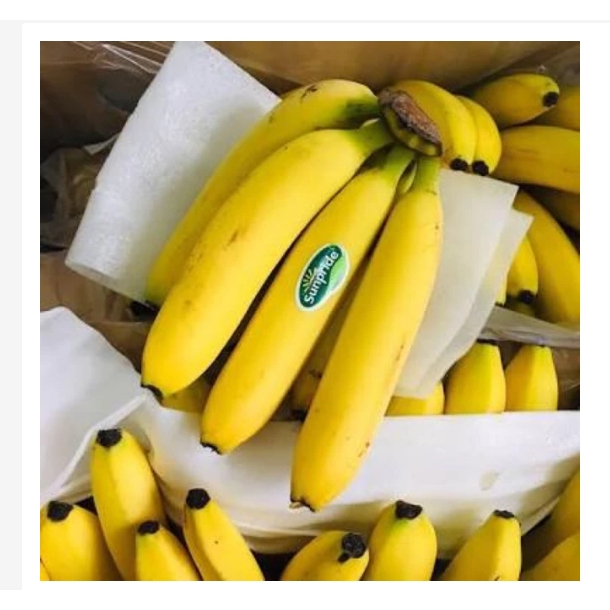 

Pisang sunpride pisang