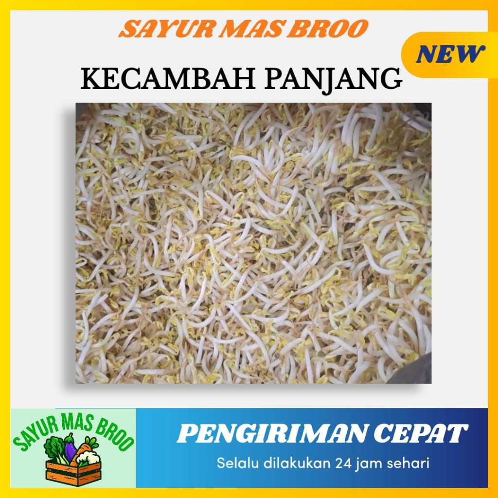

Kecambah Panjang - Toko Sayuran Mas Broo Palembang
