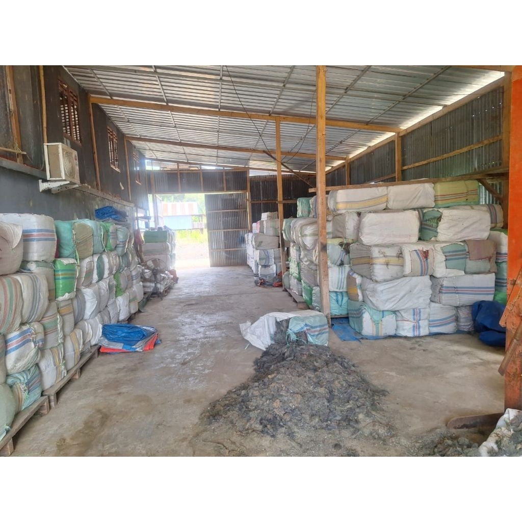 

Rumput laut Gracilaria (sango-sango) press bal 50kg