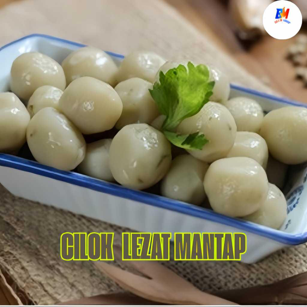 

CILOK MENTAH CEMILAN INSTAN ISI 45 BUTIR BERBAGAI VARIAN ISI/CILOK VIRAL /KEMASAN VACUM