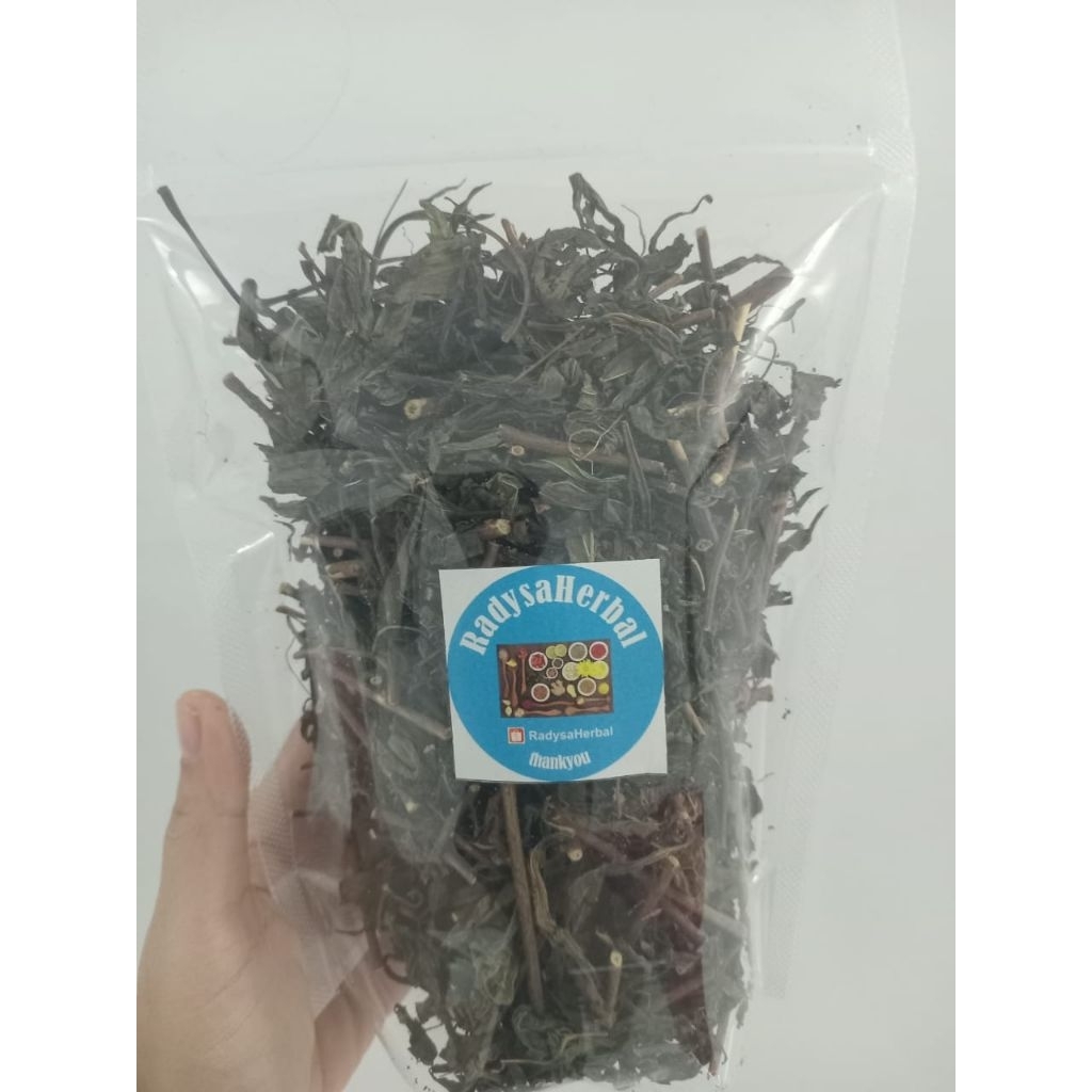 

DAUN KUMIS KUCING KERING HERBAL ALAMI RADYSAHERBAL
