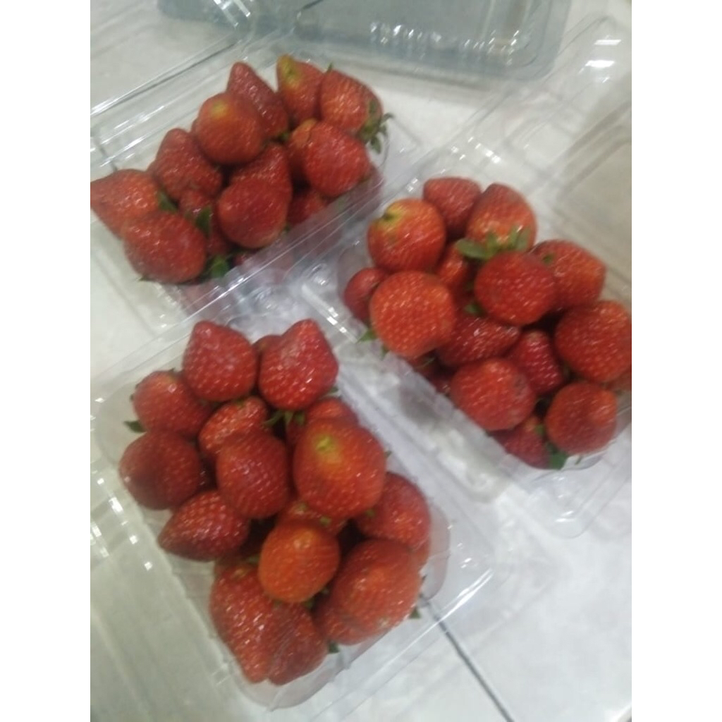 

Stroberi strawberry segar