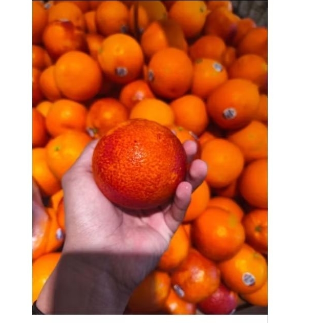 

jeruk navel red blood buah import fresh