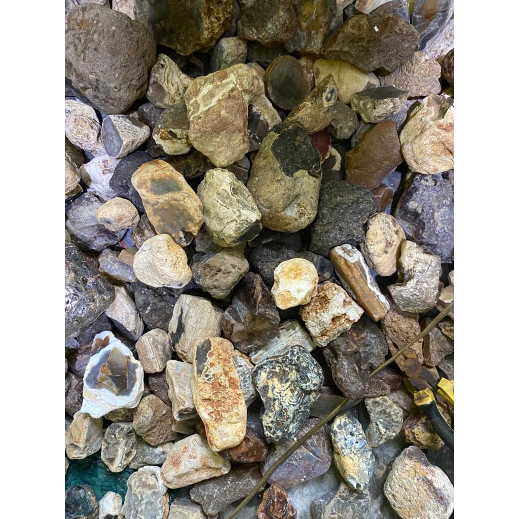 bahan batu akik anggur chalcedony siap gosok perkg