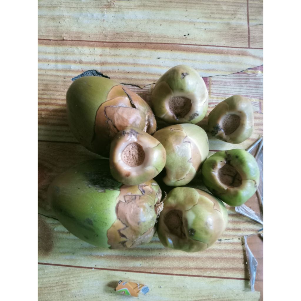 

Buruluk/tembuluk 1kg