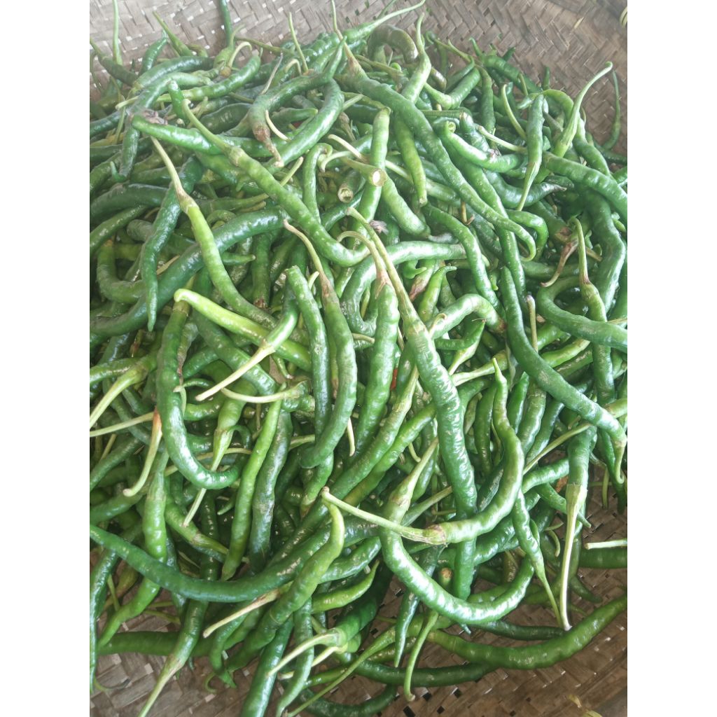 

Cabe hijau keriting 200gr / CHK super / cabai hijau
