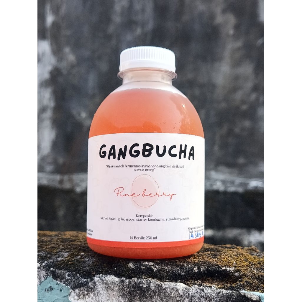

Kombucha Pineberry Gangbucha 250 ml