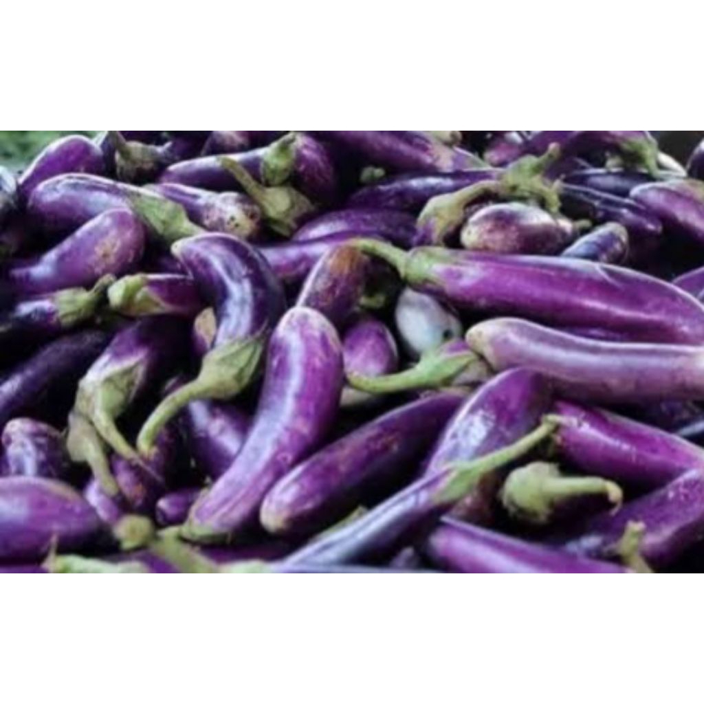 

Sayur Terong Ungu 500 g