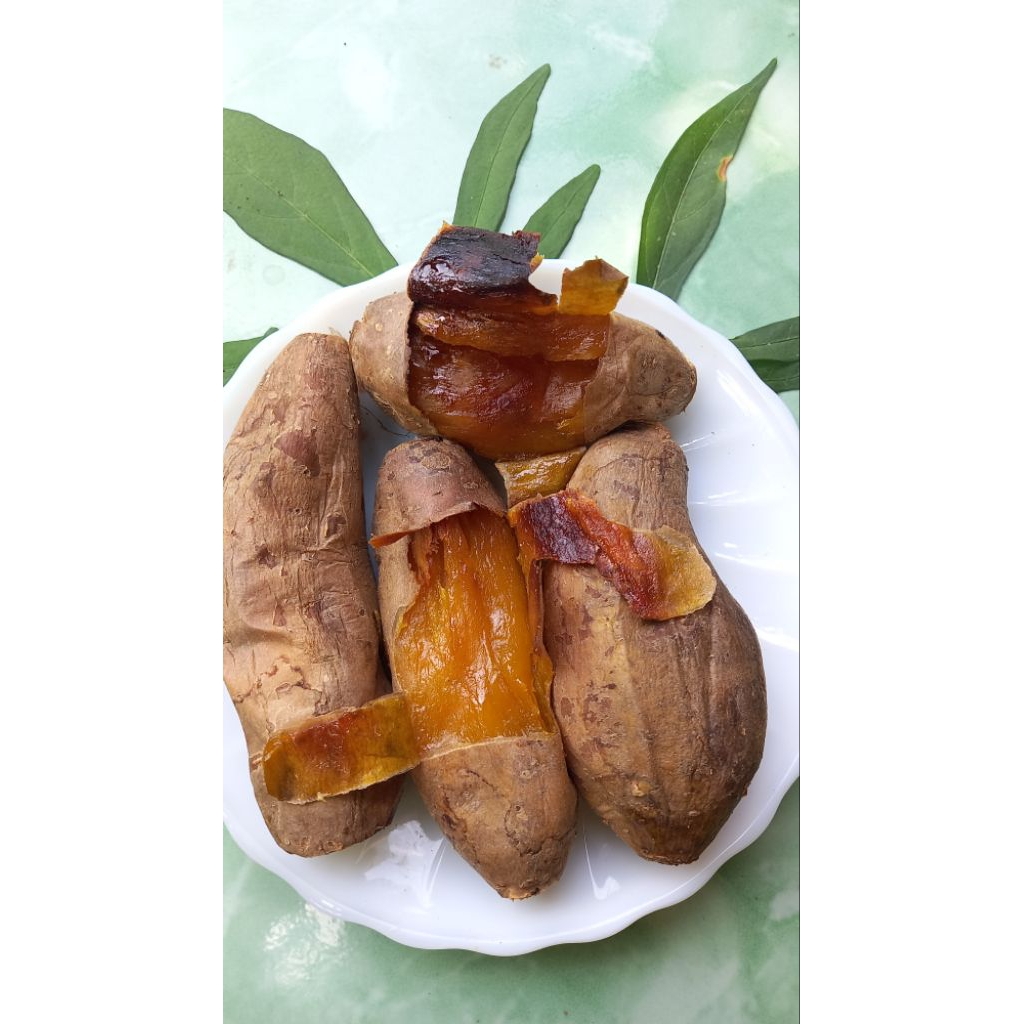 

UBI MADU CILEMBU ASLI MATANG OVEN 1KG ISI 8-13 / UBI BAKAR CILEMBU MATANG / UBI CILEMBU ASLI / UBI BAKAR CILEMBU / UBI OVEN CILEMBU / UBI MATANG / UBI MADU / UBI CILEMBU / UBI MADU CILEMBU