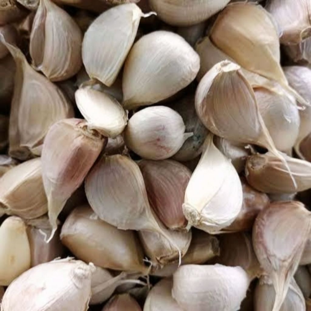 

Bawang putih kating 250 gr