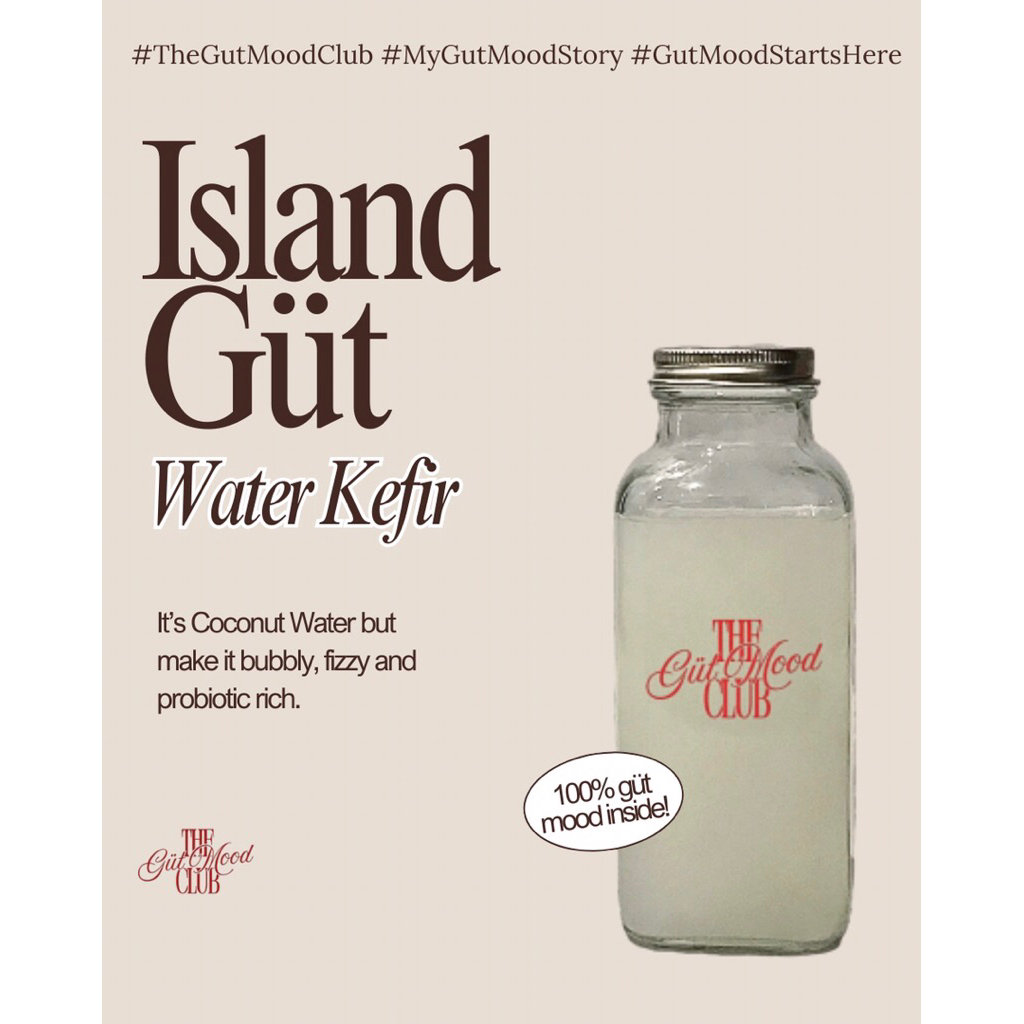 

The Gut Mood Club Island Gut Water Kefir - Air Kefir Island Gut (Air Kefir Kelapa)