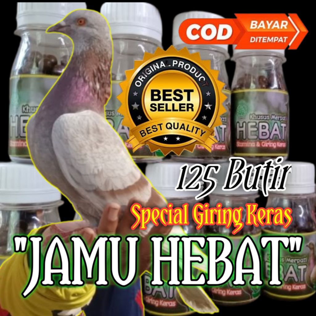 JAMU MERPATI GIRING KERAS "JAMU HEBAT"