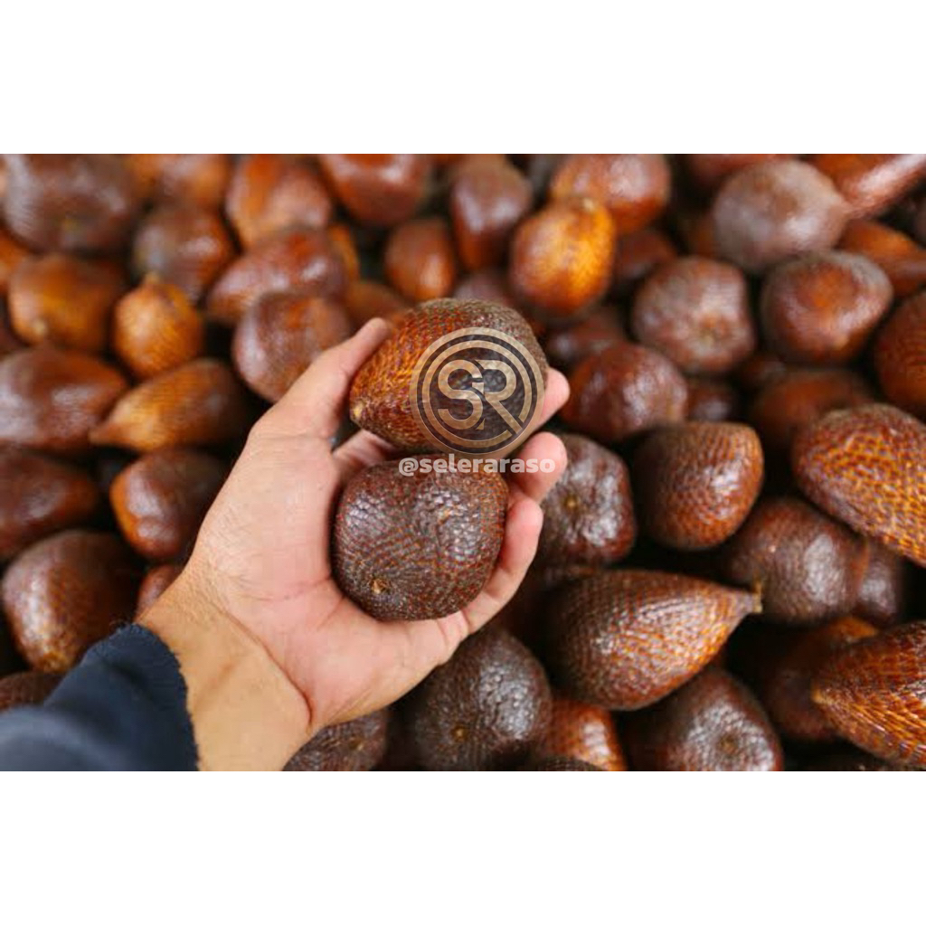

Buah Salak Segar