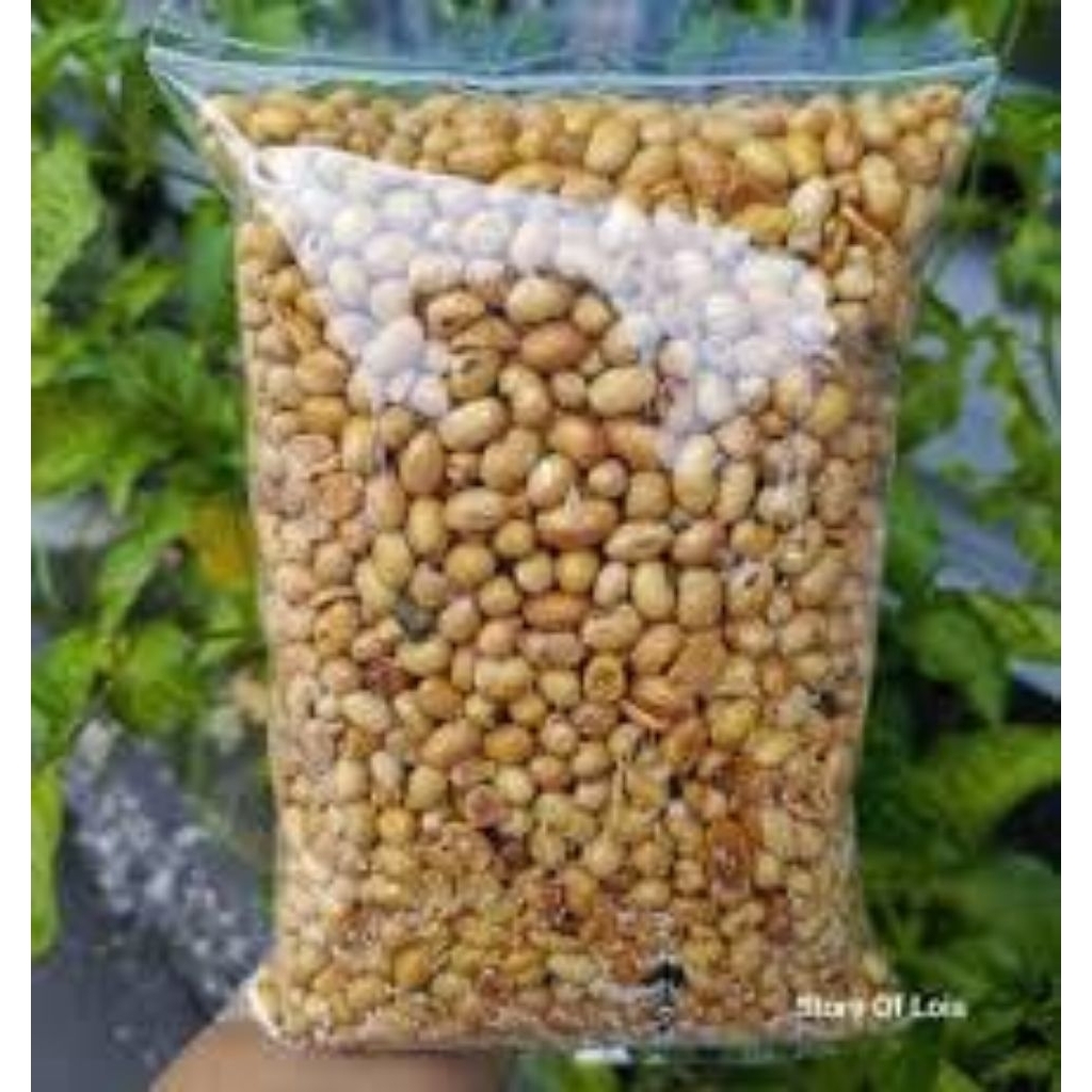 

Kacang Kedelai Goreng 1 Kg / Kedelai Goreng / Kacang Kedelai 1 Kg