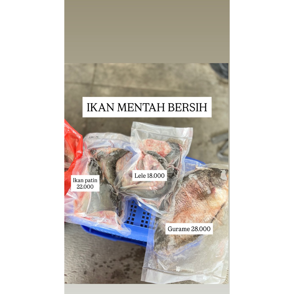 

IKAN FRESH MENTAH GURAME
