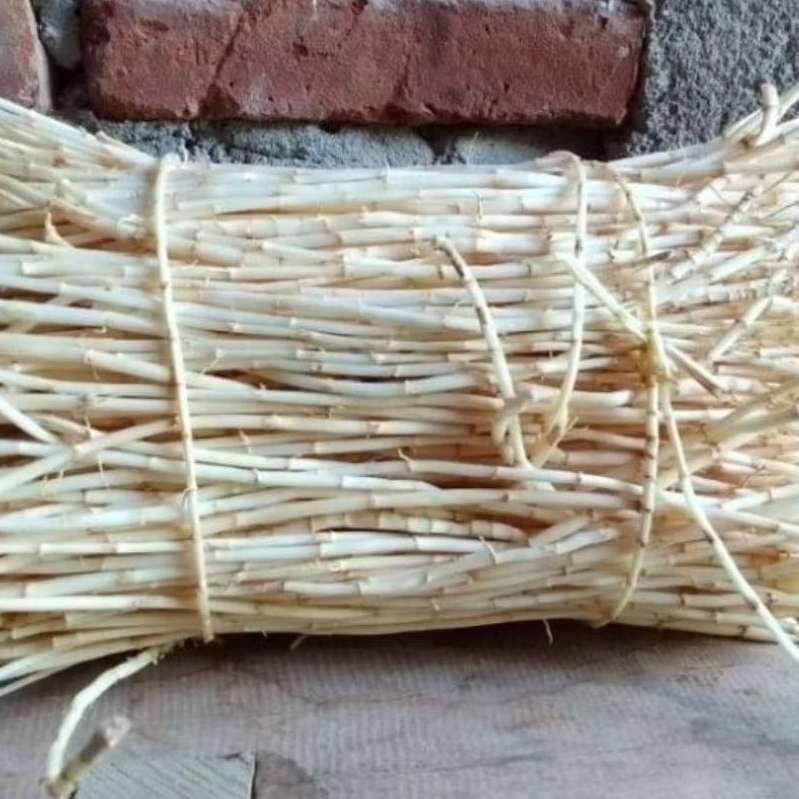 

obat herbal akar Alang Alang segar siap pakay berat 500 gram