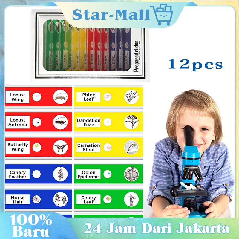 12pcs Slides Preparat Biologi / Science Toys / Pendidikan Anak / Sampel Hewan Dan Tumbuhan
