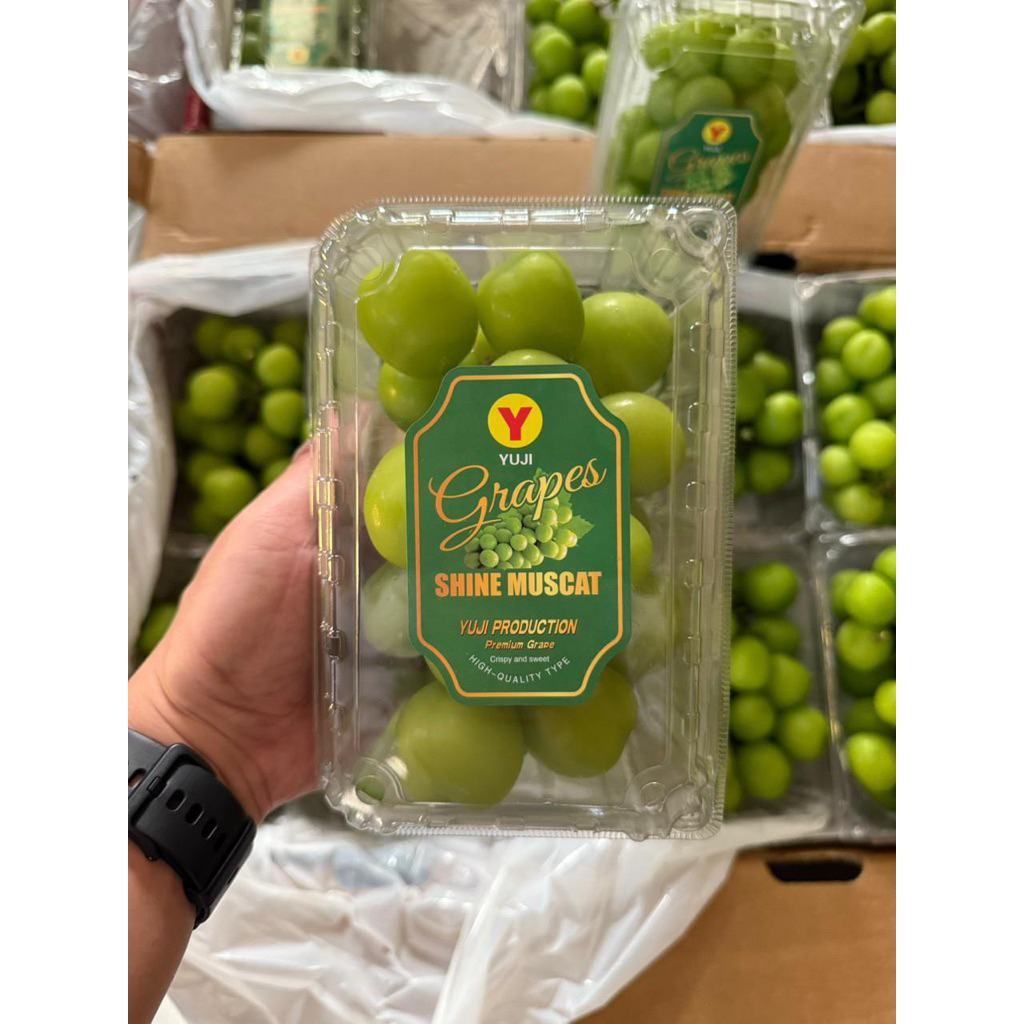 

*Baru Datang* Shine Muscat Yuji pack Harga 450rbu / 5 kg Size 10 x 500gr