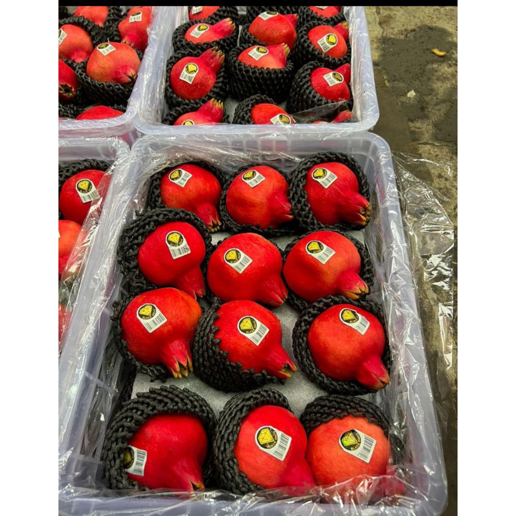 

Delima Merah India Manis Harga 10 Kg