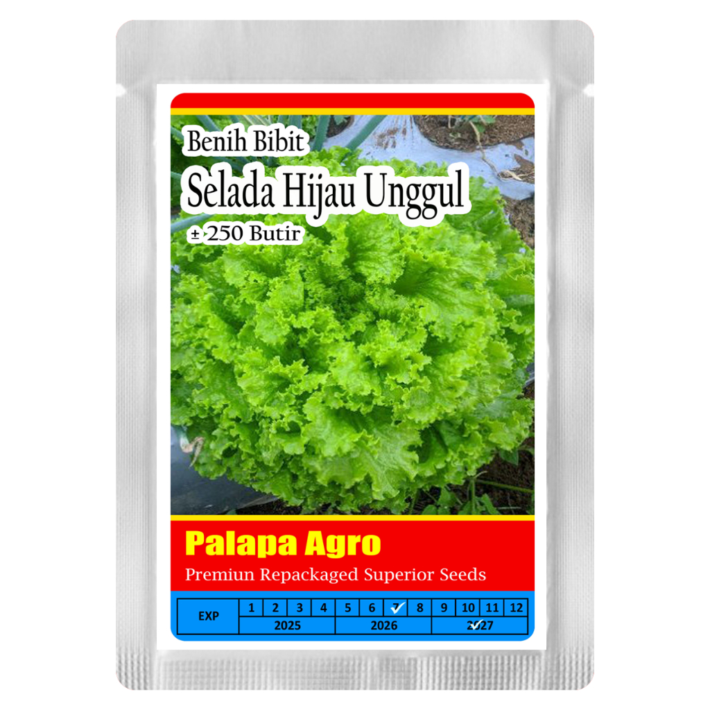 Bibit Selada Hijau Unggul / Benih Selada