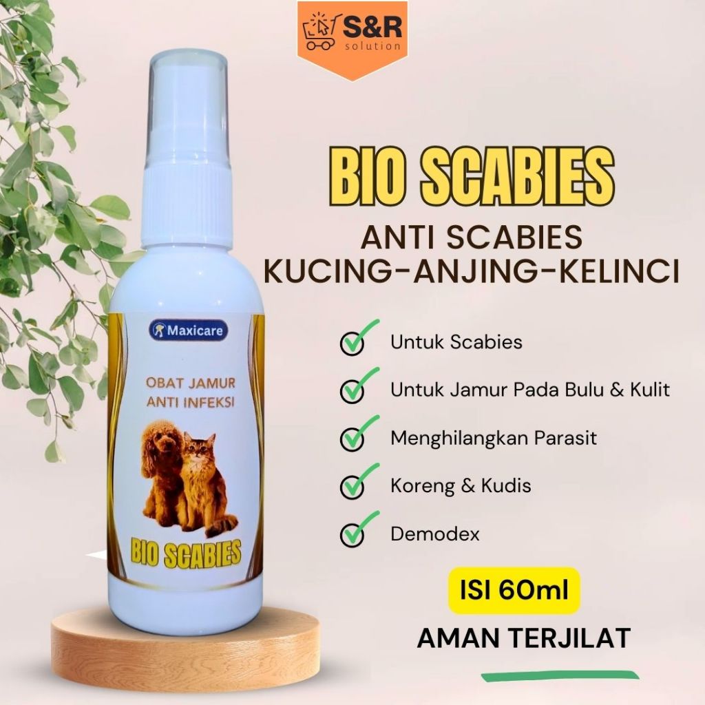 Grosir Spray r Kucing Ampuh Anti Scabies Scabies Anti Scabies r Ampuh Untuk Kucing Anjing Kucing ran