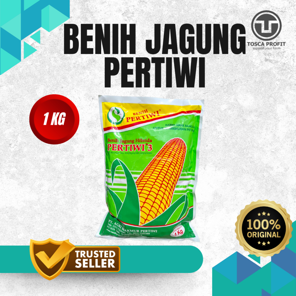 Benih Jagung Pertiwi F1 – Bibit Jagung Hibrida Unggul Cepat Panen, Produktif & Tahan Hama