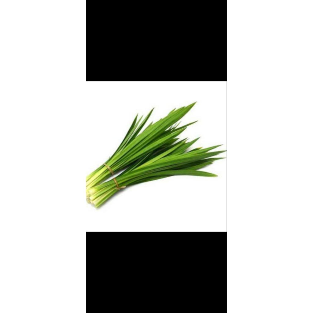 

Daun Pandan Segar Per Ikat