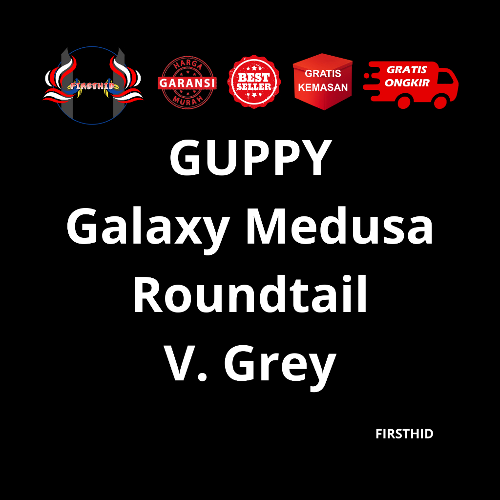 (BEST SELLER) Aksesoris Akuarium GUPPY Platinum Galaxy Medusa Roundtail penghias kolam