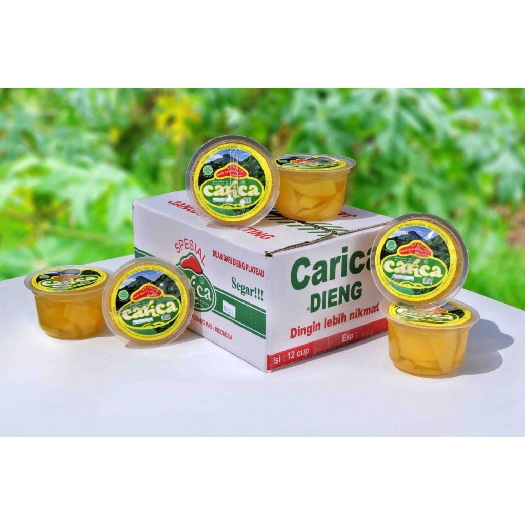 

Carica Cup Besar isi 12