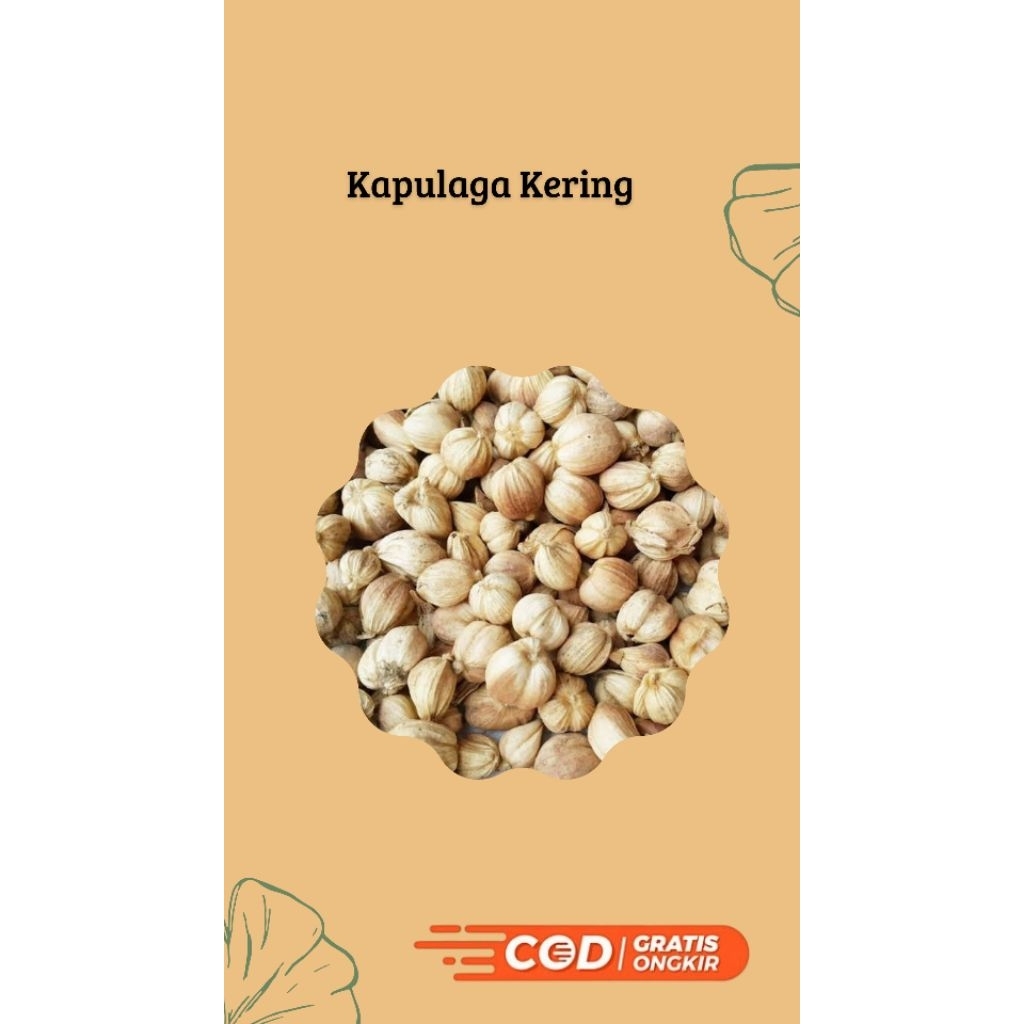 

Kapolaga Kering Khas Lampung 100% Alami