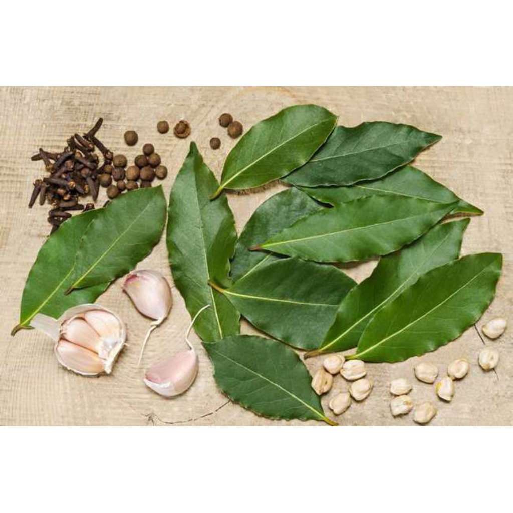 

DAUN SALAM WANGI FRESH JUMBO