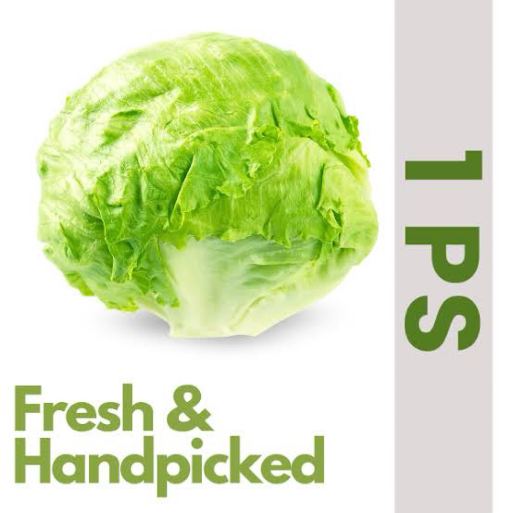 

Lettuce Segar 1kg