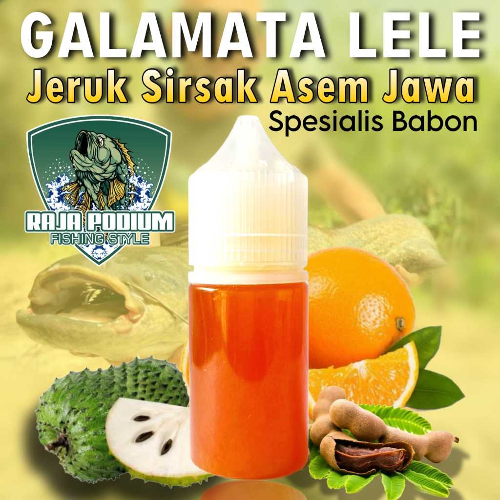 Essen Lele Galatama Harian Aroma Amis Anyir Jeruk Sirsak Asem Jawa, Essen Lele Gacor Siang Malam