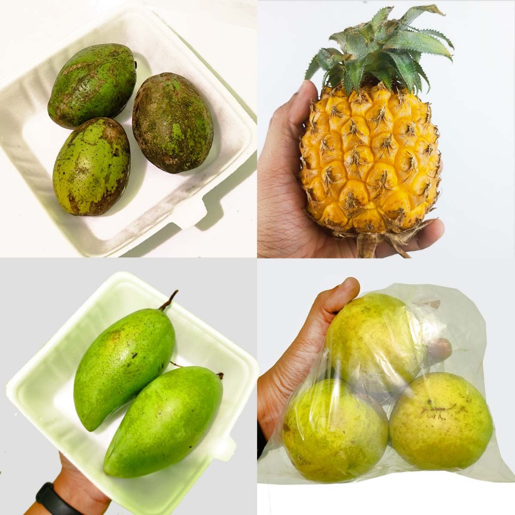 

Buah Segar Mangga Muda, Jambu Biji, Kedondong & Nanas Madu