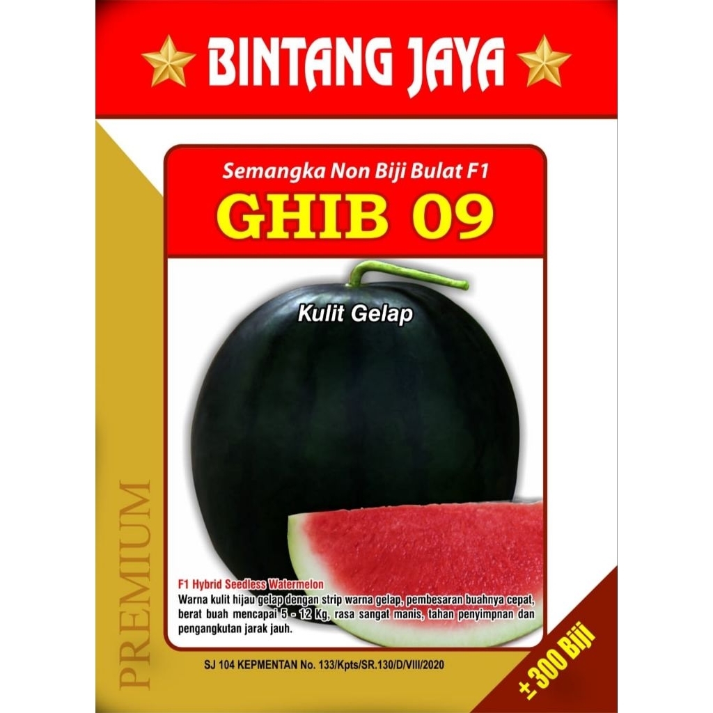 Benih hibrida Non biji Bulat gelap GHIB 09 HARGA TERJANGKAU KEMURNIAN 98%