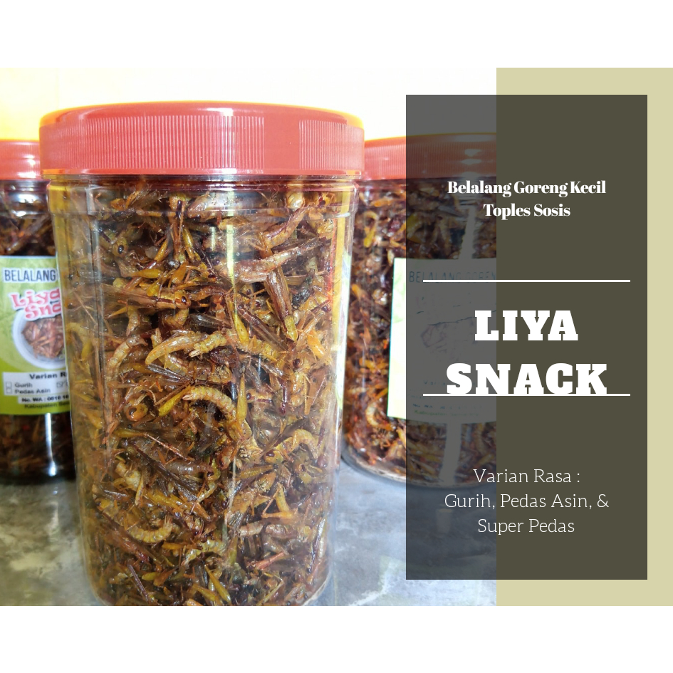 

Belalang Goreng Kecil Renyah Gurih Pedas | Camilan Tradisional Tinggi Protein 210 Gram