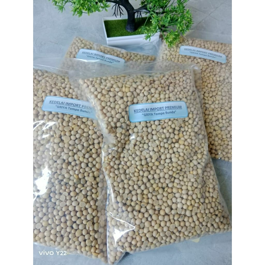 

Kacang Kedelai PREMIUM import USA 1kg Berkuwalitas Grade A.