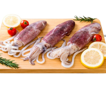 

Cumi Sotong Fresh Segar 500 gram