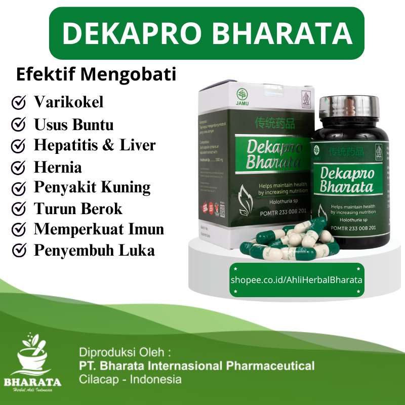 Obat Varikokel Ampuh Original | Obat Turun Berok Pria Wanita | Dekapro Bharata Asli Original 100%