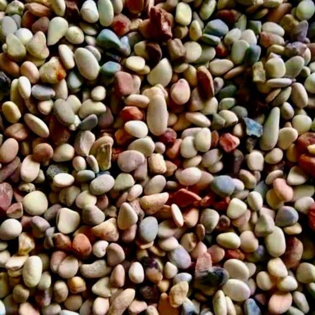 Batu koral sikat pancawarna 15 kg