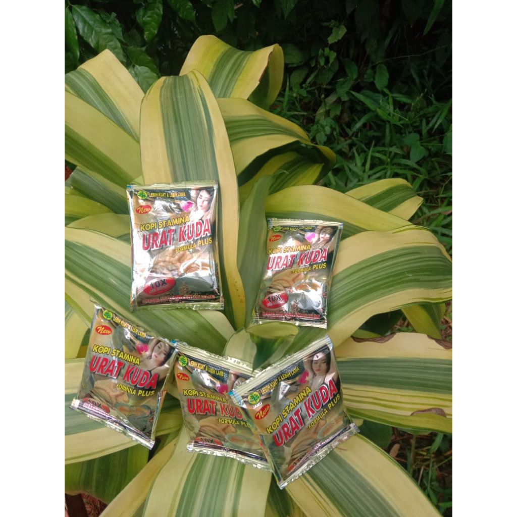 

Kopi urat kuda 10 x original