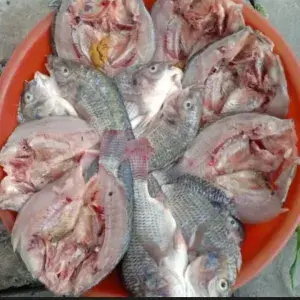 

Ikan Mujair Belah Pinggung.1 Kg