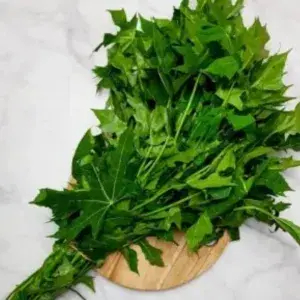 

Daun Pepaya Jepang - 1 Ikat