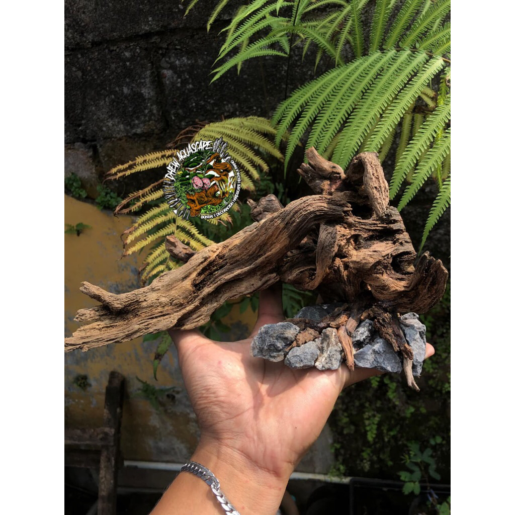 hardscape aquascape natural