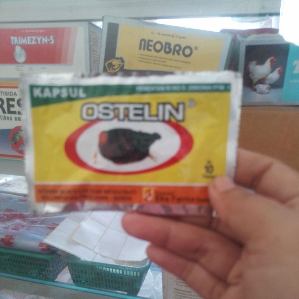 OSTELIN